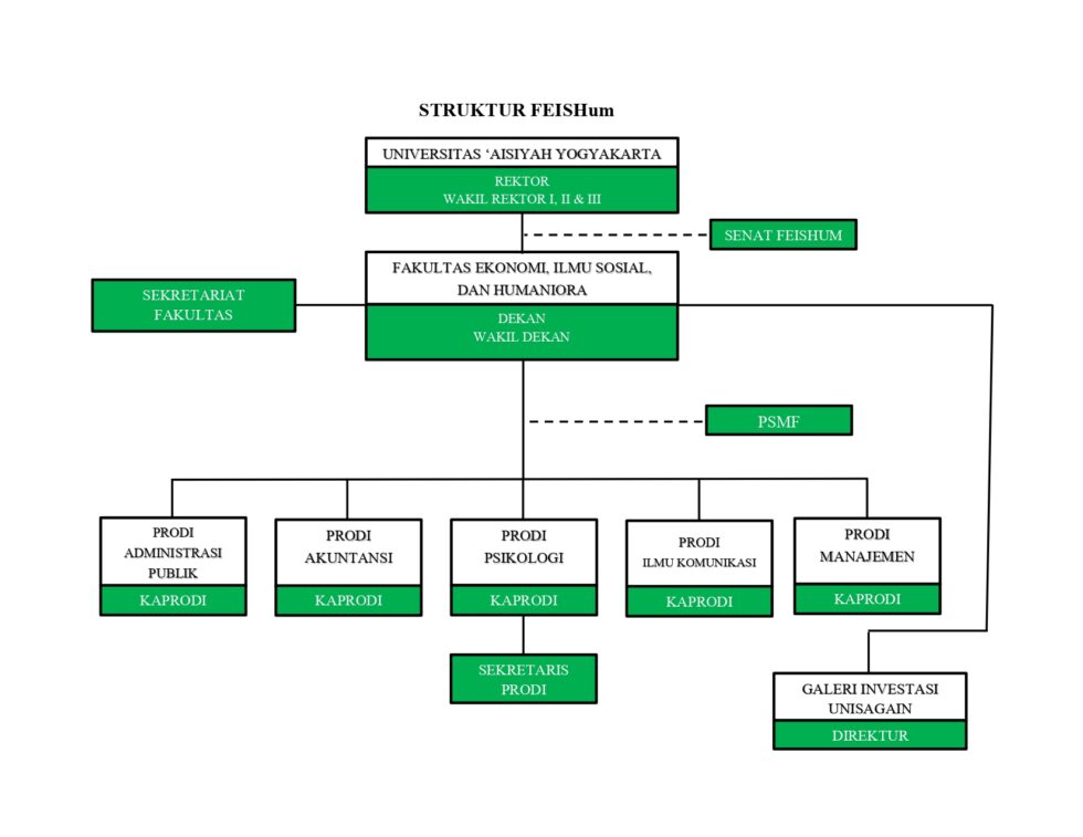 Struktur Organisasi S1 Manajemen Universitas Aisyiyah Yogyakarta 